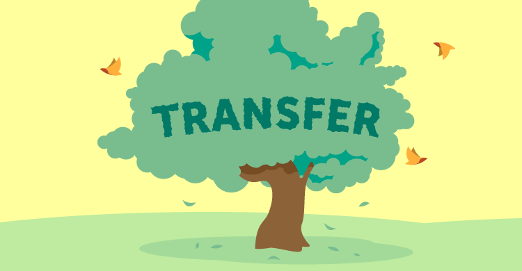 Birds and Transfer